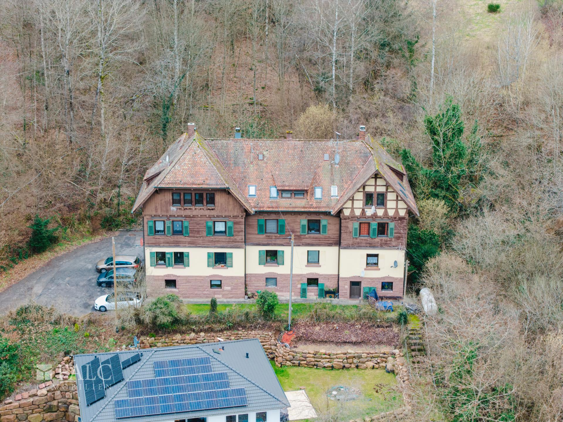 DJI_20250130152529_0268_D (1)